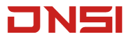DNSI